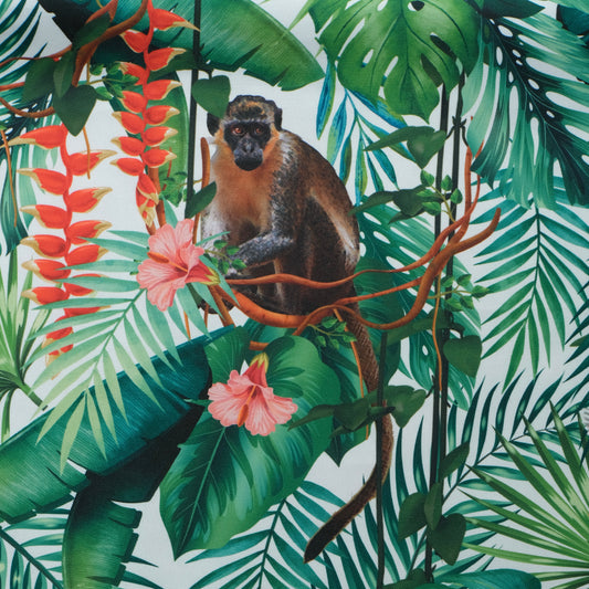 Fauna