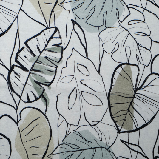 Monstera
