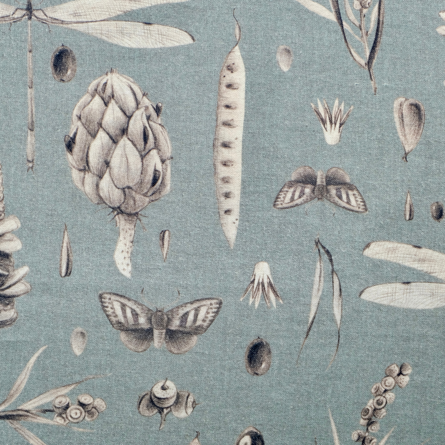 Seeds Aqua