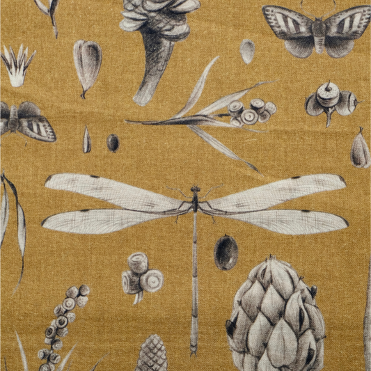 Seeds Mustard