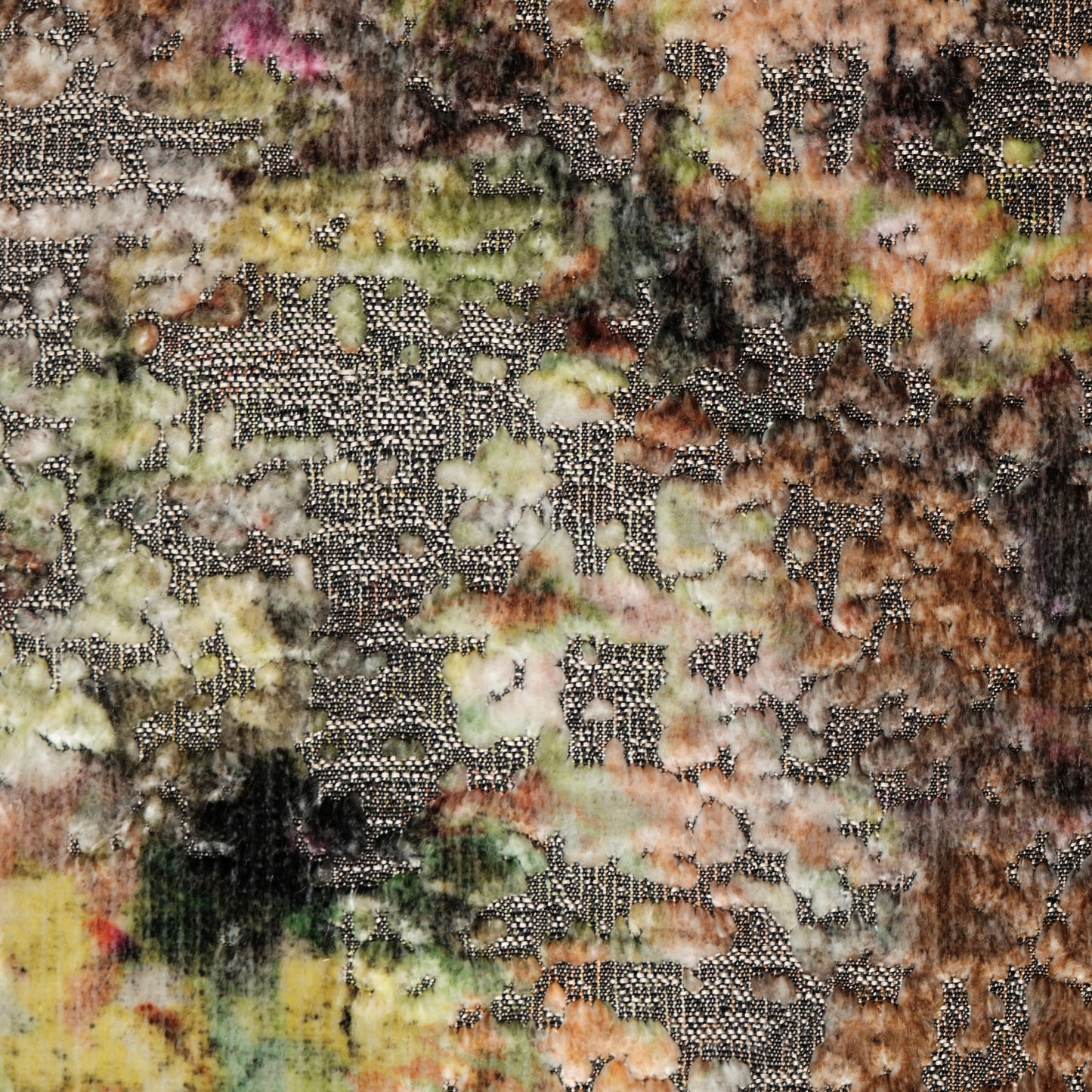AVAKD-C1