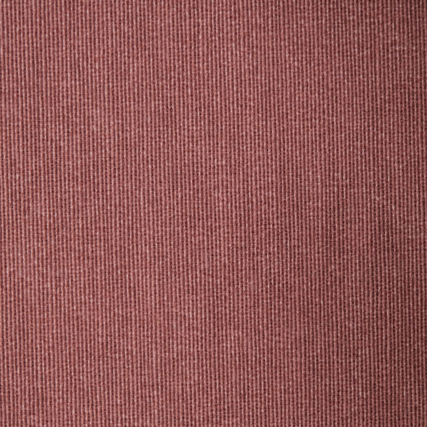 SAPUCAIA ROJO
