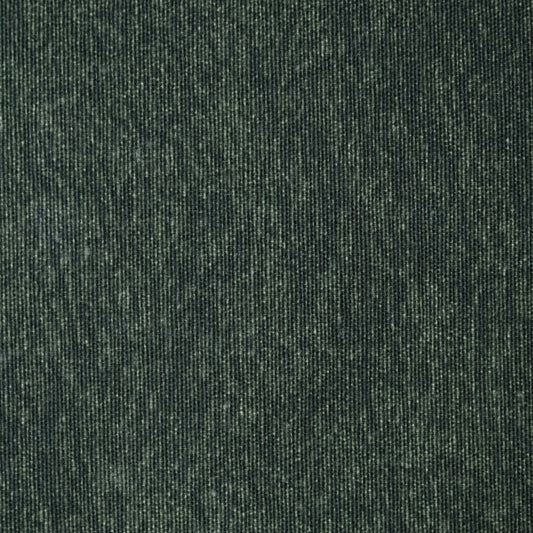 SAPUCAIA VERDE OLIVA